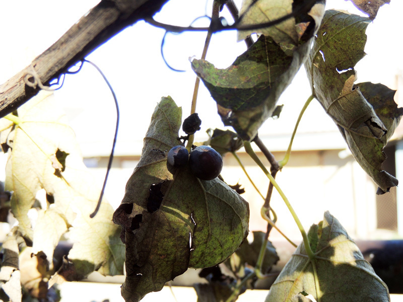 Зарисовка 12. Зарисовка 12.