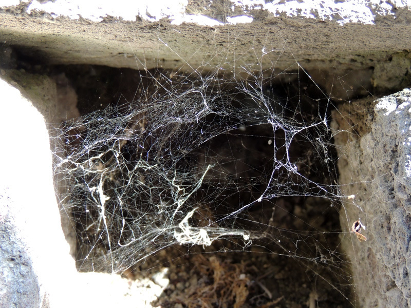 Зарисовка 13. Зарисовка 13.