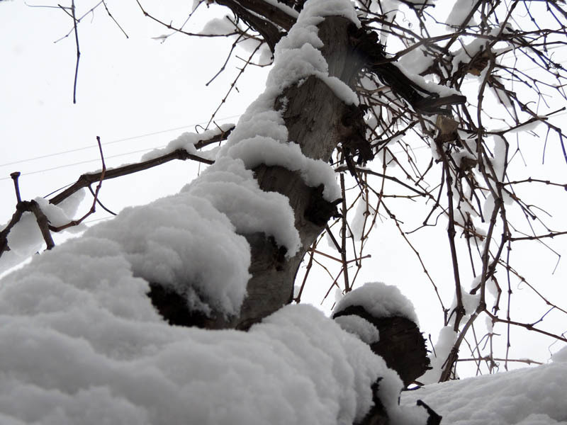 Зимний день 6. Зимний день 6.