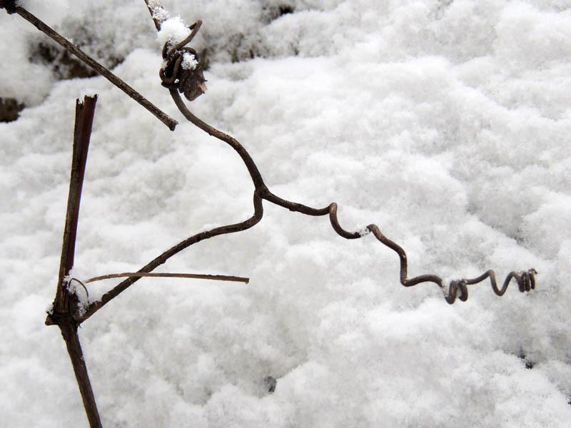 Зимний день 8. Зимний день 8.