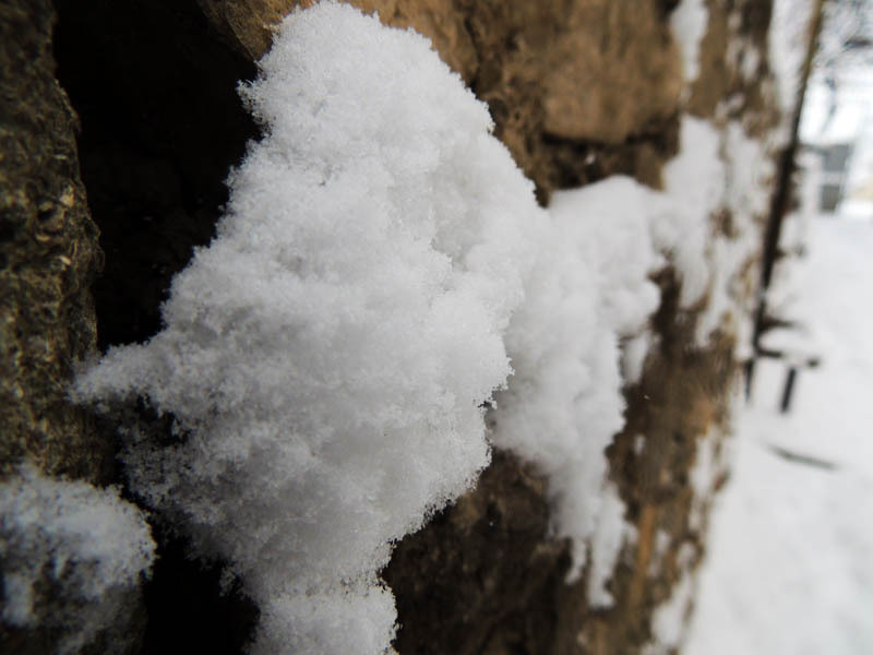 Зимний день 13. Зимний день 13.