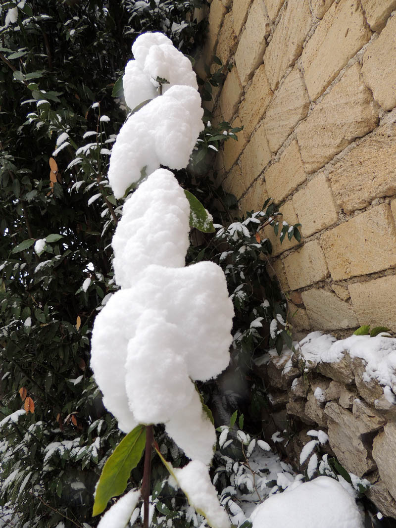 Зимний день 17. Зимний день 17.