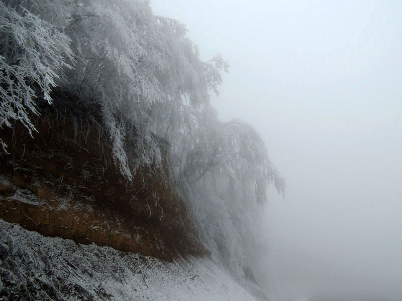 Виртуальная выставка, январь - 2. Виртуальная выставка, январь - 2.