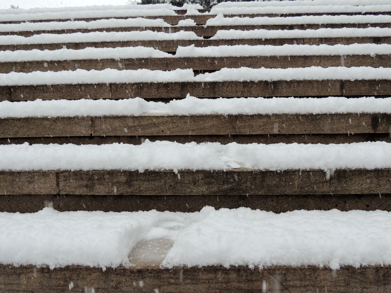 Виртуальная выставка, январь - 5. Виртуальная выставка, январь - 5.