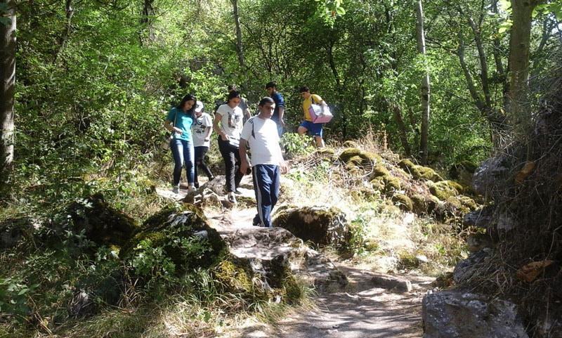 Спускаемся по горной лесной тропинке.